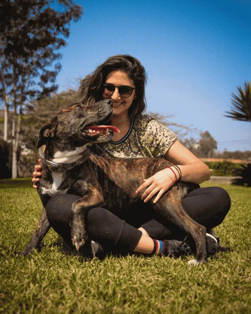 Person hugging a happy brindle dog in a sunny Pasadena park.